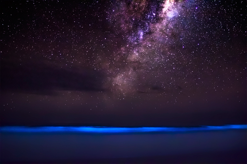 Bioluminescent plankton and milky way galaxy