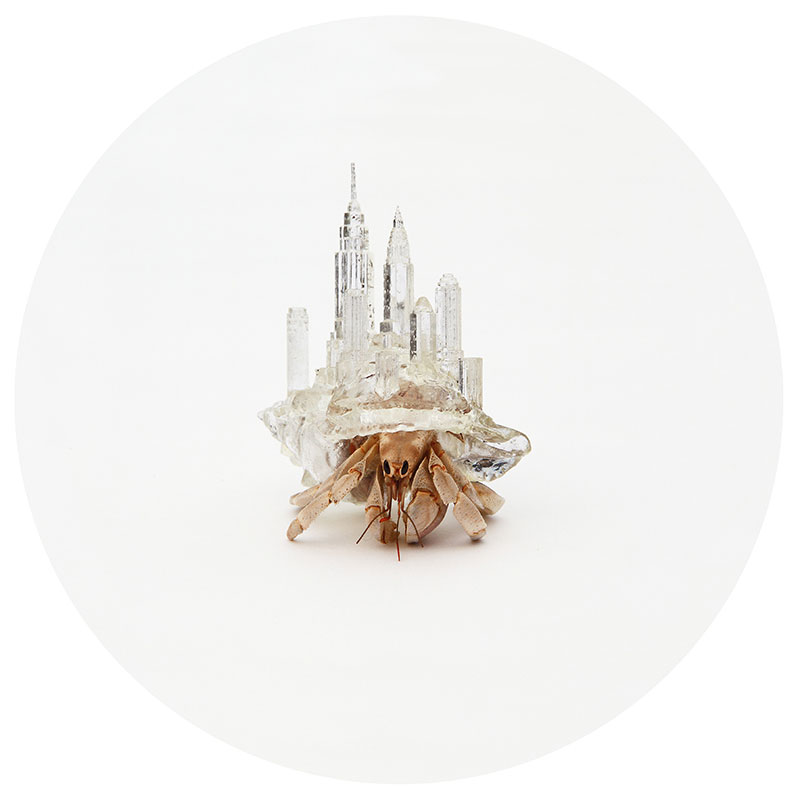 hermit crab glass city by aki inomata new york city