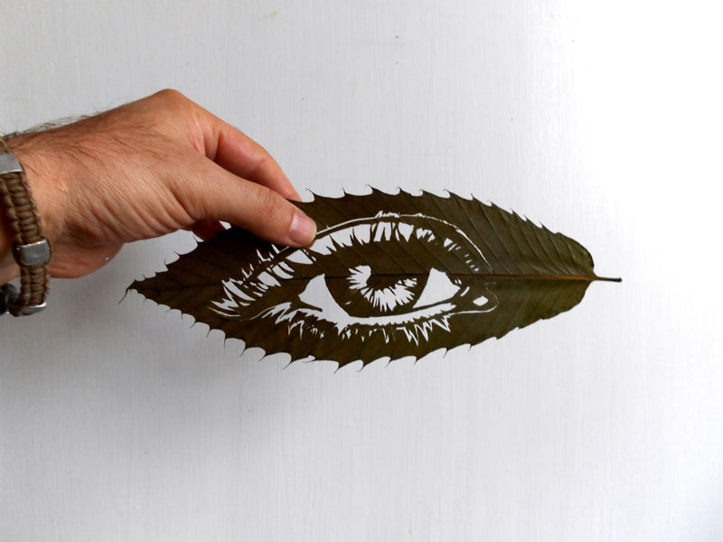 leaf cut art by omad asadi (14)