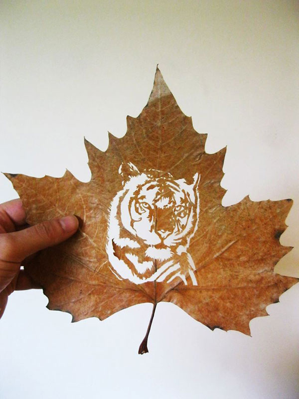 leaf cut art by omad asadi (2)