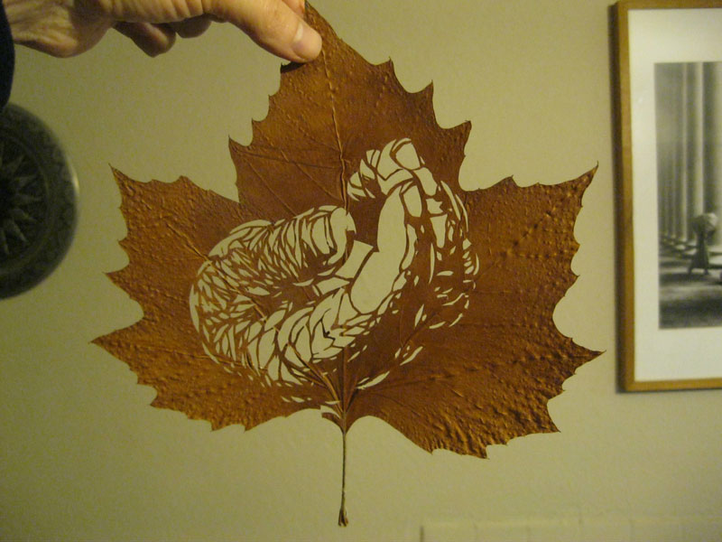 leaf cut art by omad asadi (5)