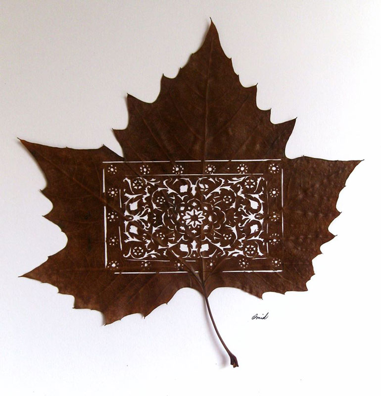 leaf cut art by omad asadi (7)