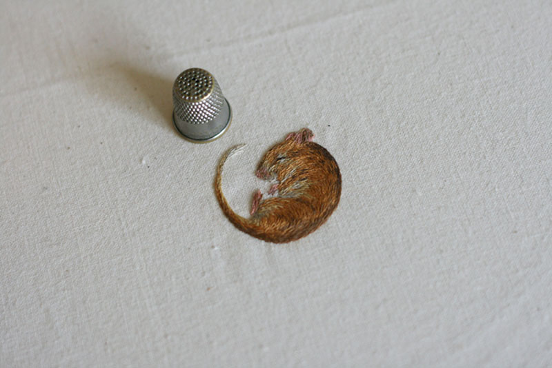 miniature animal embroideries by chloe giordano (6)