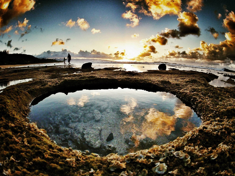 Tide Pools at Rocky Point, Mexico