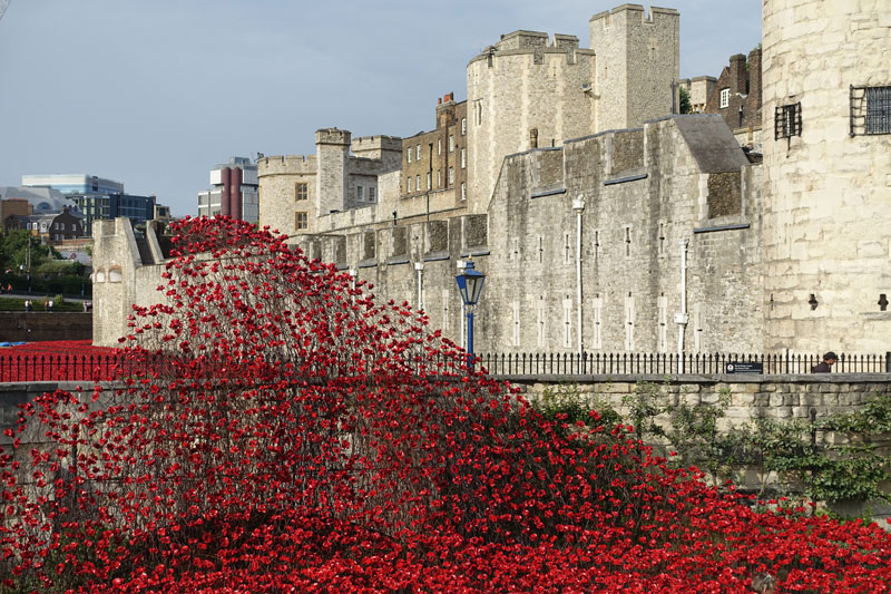 Tower of London's 888,246 Ceramic Poppies Commemorate Every British Soldier Lost in WWI (2)