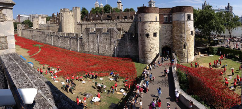 Tower of London's 888,246 Ceramic Poppies Commemorate Every British Soldier Lost in WWI (3)