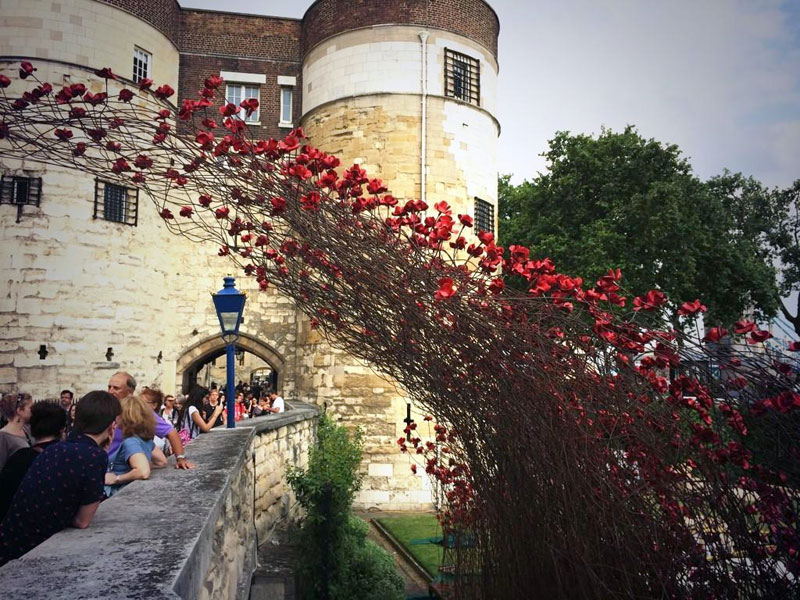 Tower of London's 888,246 Ceramic Poppies Commemorate Every British Soldier Lost in WWI (4)