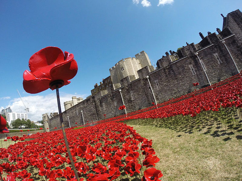 Tower of London's 888,246 Ceramic Poppies Commemorate Every British Soldier Lost in WWI (5)