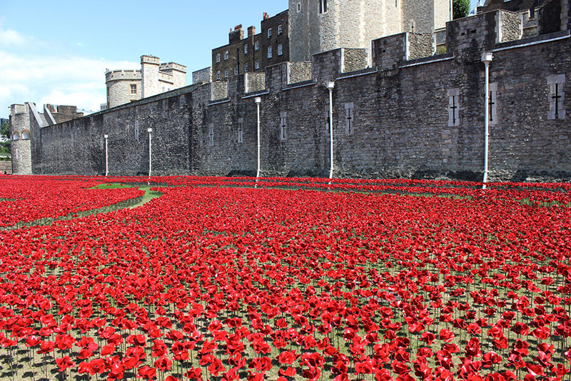 Tower of London's 888,246 Ceramic Poppies Commemorate Every British Soldier Lost in WWI (6)
