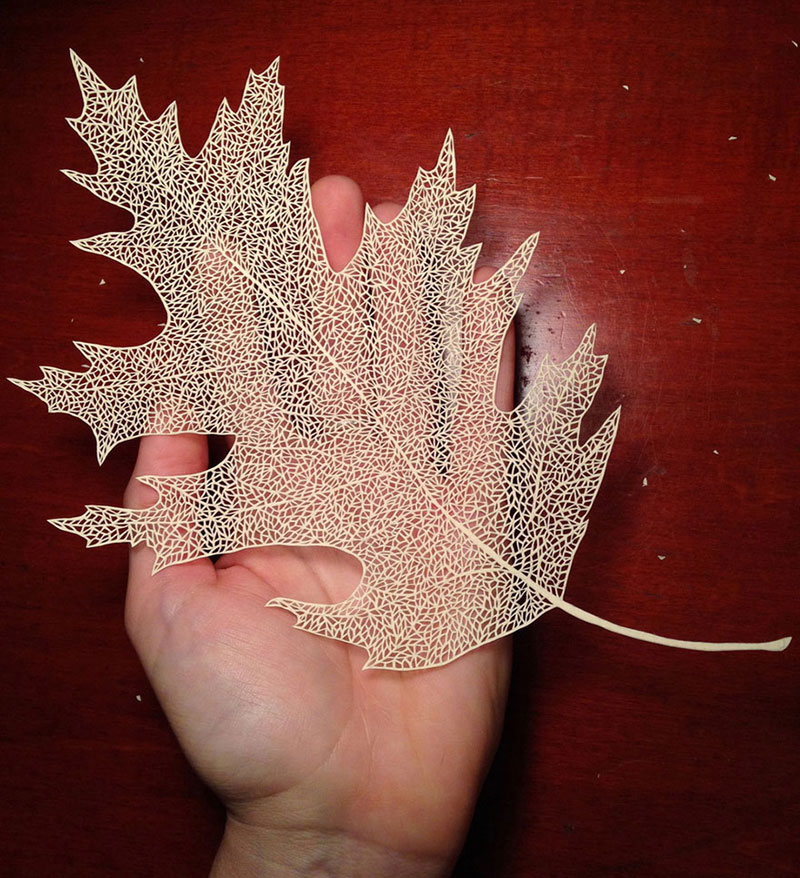 hand cut paper art by maude white 3 12 Intricate Paper Artworks Cut by Hand