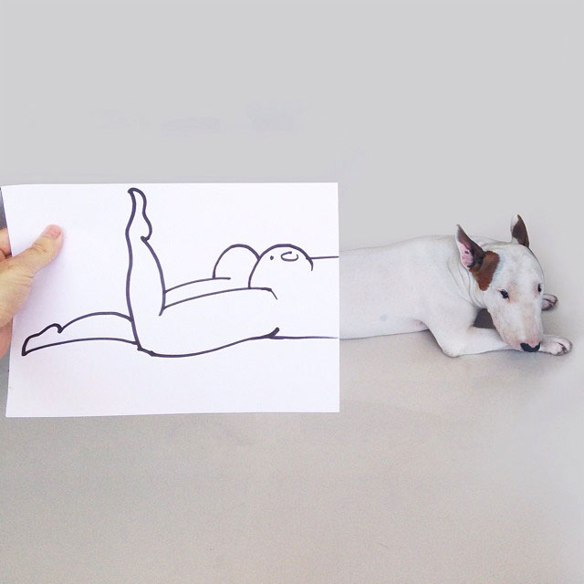 Rafael mantesso Takes Portraits of His Bull Terrier and Illustrates the Background (3)