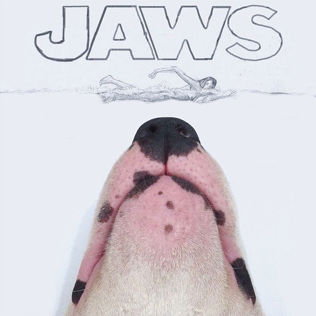 Rafael mantesso Takes Portraits of His Bull Terrier and Illustrates the Background (5)