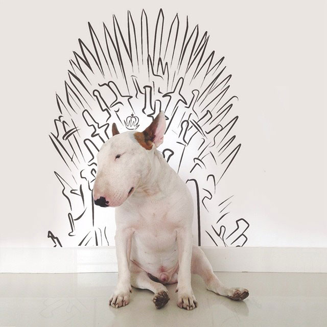Rafael mantesso Takes Portraits of His Bull Terrier and Illustrates the Background (8)