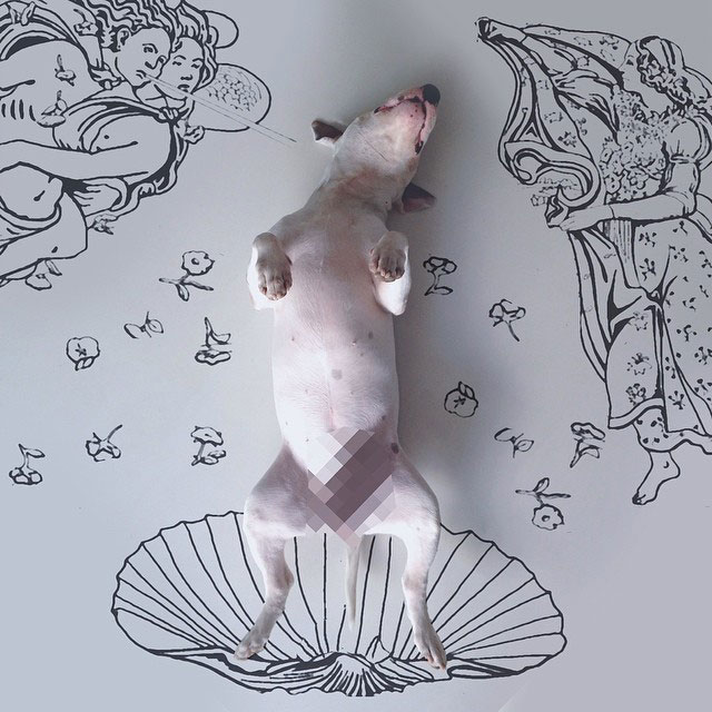 Rafael mantesso Takes Portraits of His Bull Terrier and Illustrates the Background (9)