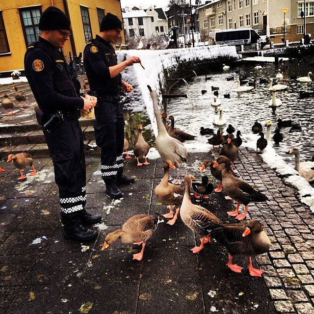 The Reykjavik Police Department's Instagram Feed is Pure Gold (2)