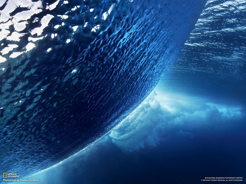 Picture of the Day: Under the Wave | Dec. 23, 2010