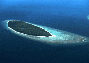 maldives aerial photograph 1 maldives aerial photograph (1)