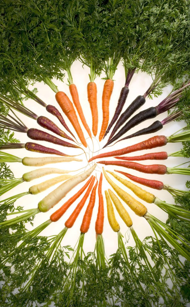 Picture of the Day: Rainbow Carrot Wheel