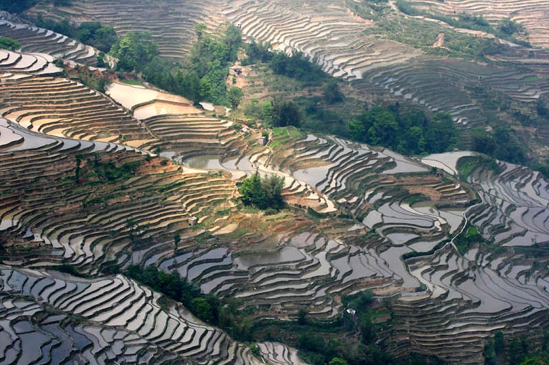 25 Unbelievable Photographs of Rice Terraces » TwistedSifter