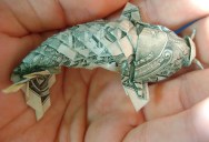 Picture of the Day: This Dollar Bill Looks Fishy