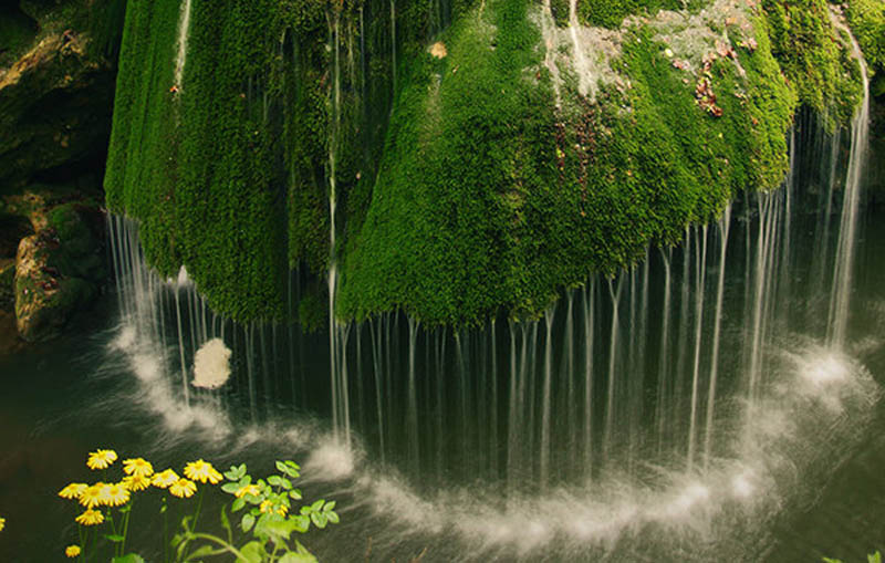 Picture of the Day: Dramatic Moss Covered Waterfall in Romania