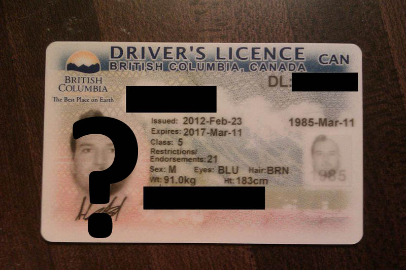 This Guy Went All Out for the Ultimate Driver's License Photo