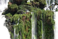 Picture of the Day: The Waterfall Island at Iguazu Falls