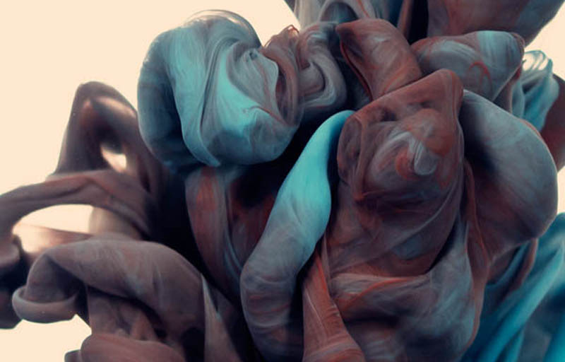 Incredible Plumes of Ink Photographed Underwater