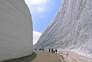 The 65-Foot (20m) Snow Corridor in Japan