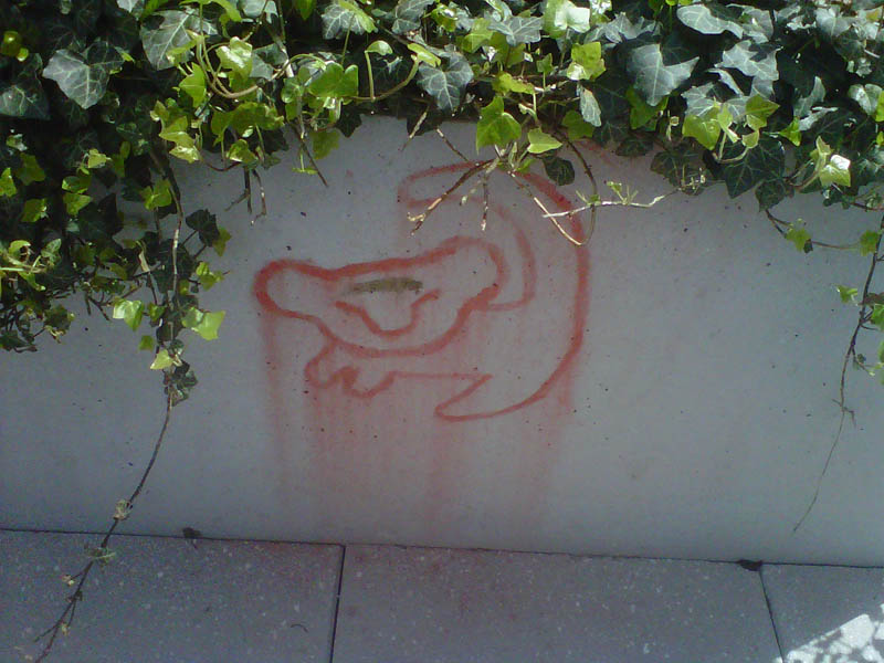 Picture of the Day: Simba Was Here