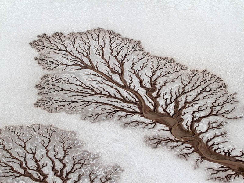 Picture of the Day: Fractal Patterns in Dried Out Desert Rivers
