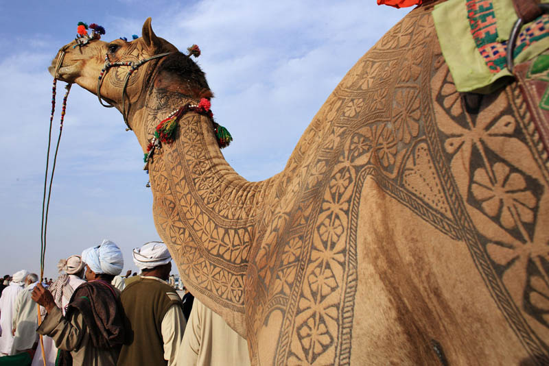An Amazing Gallery of Camel Hair Art