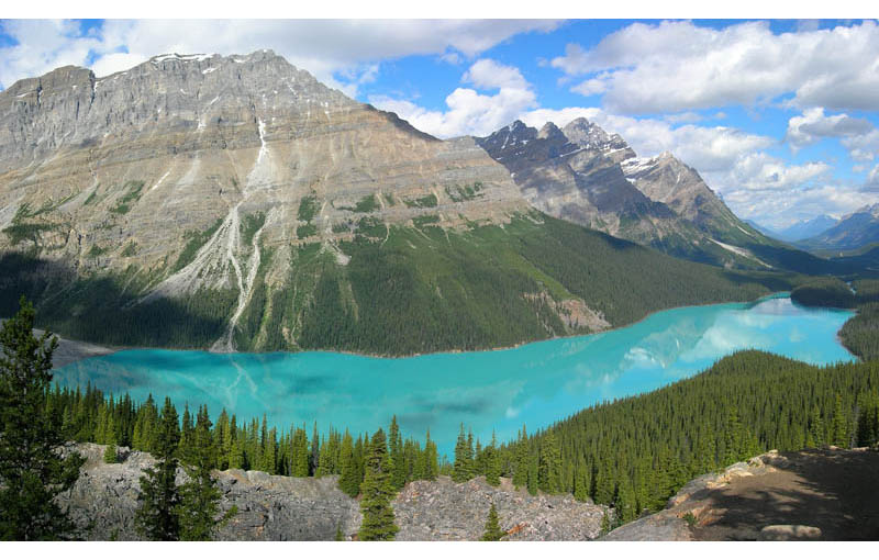 Picture of the Day: Glacier-Fed Peyto Lake in Banff