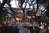 Award-Winning Beach House Surrounded by Trees