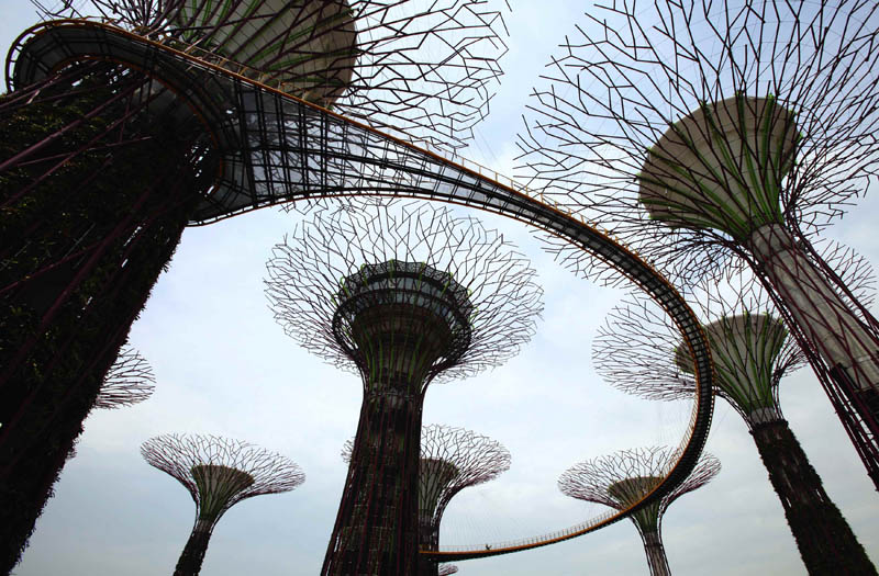 The Supertrees of Singapore » TwistedSifter