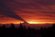 Picture of the Day: Mt. Rainier Casting a Shadow on Clouds
