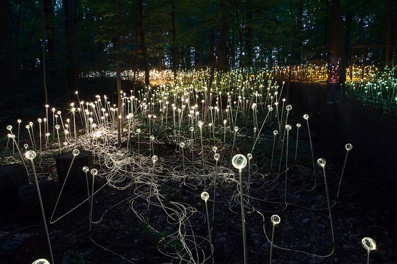 Bruce Munro's Light Installations at Longwood Gardens