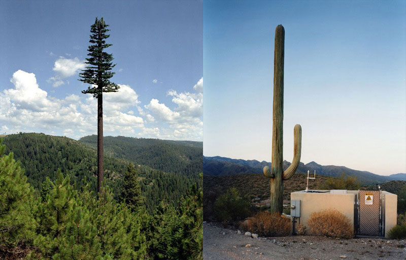 25 Cell Phone Towers Disguised to Look Like Something Else