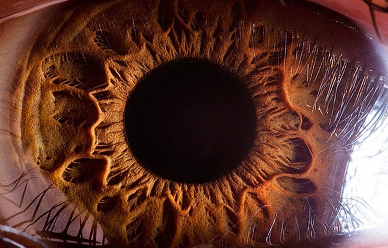 21 Extreme Close Ups of the Human Eye 