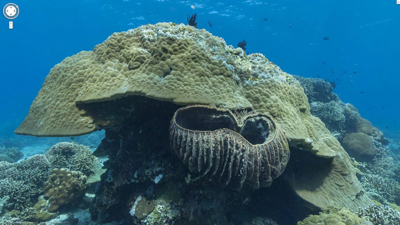 Google Adds First Underwater Panoramas to Maps and Street View ...