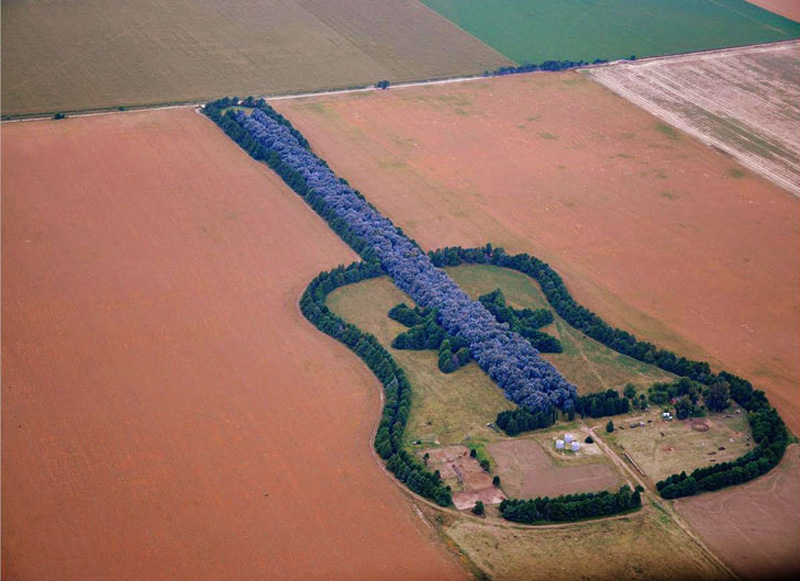 Man Plants Guitar Shaped Forest in Memory of His Wife
