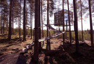 The Treehotel in Sweden for Nature Lovers