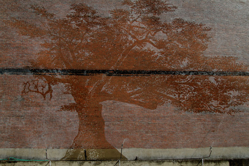 The Water-Activated Oak Tree Mural in Hartford