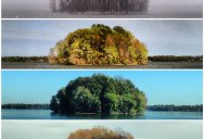 Capturing the Four Seasons in a Single Image