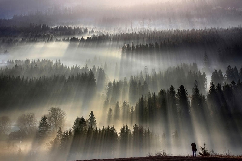 Beautiful Sun-Kissed Landscape Photos Bathed in Fog