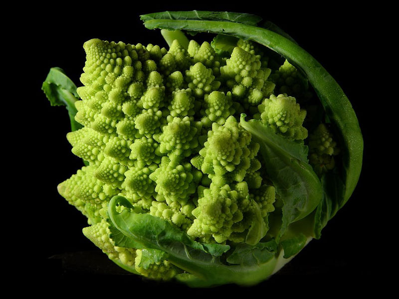Picture of the Day: Fractal Cauliflower