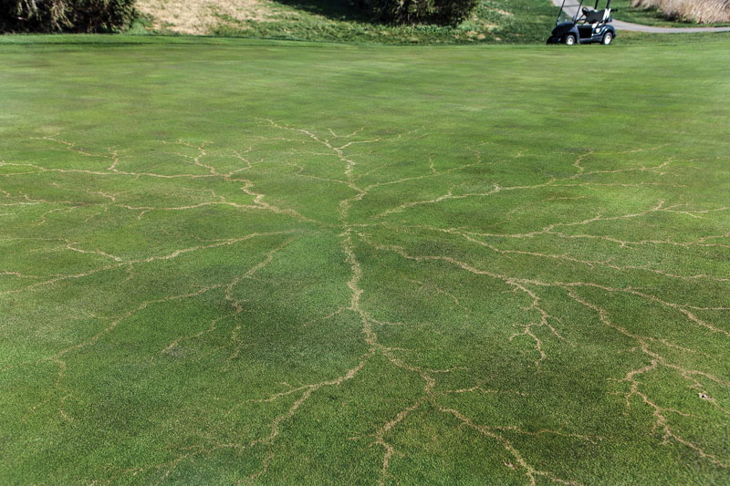 Picture of the Day: Lightning Strikes a Fairway
