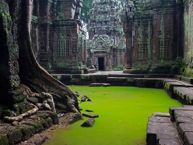 Picture of the Day: Ta Prohm Temple, Cambodia