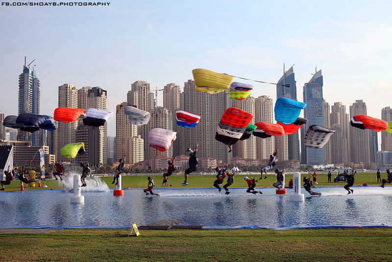 Picture Of The Day Landing With Style Twistedsifter