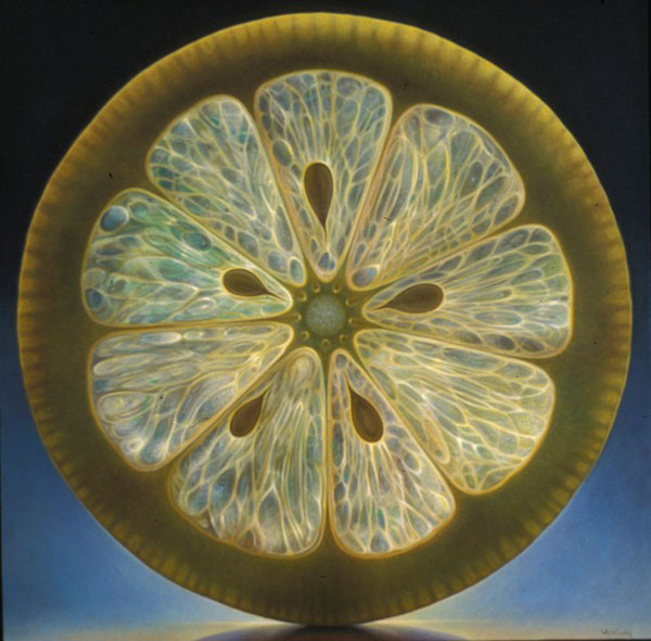 Translucent Fruit Paintings by Dennis Wojtkiewicz » TwistedSifter